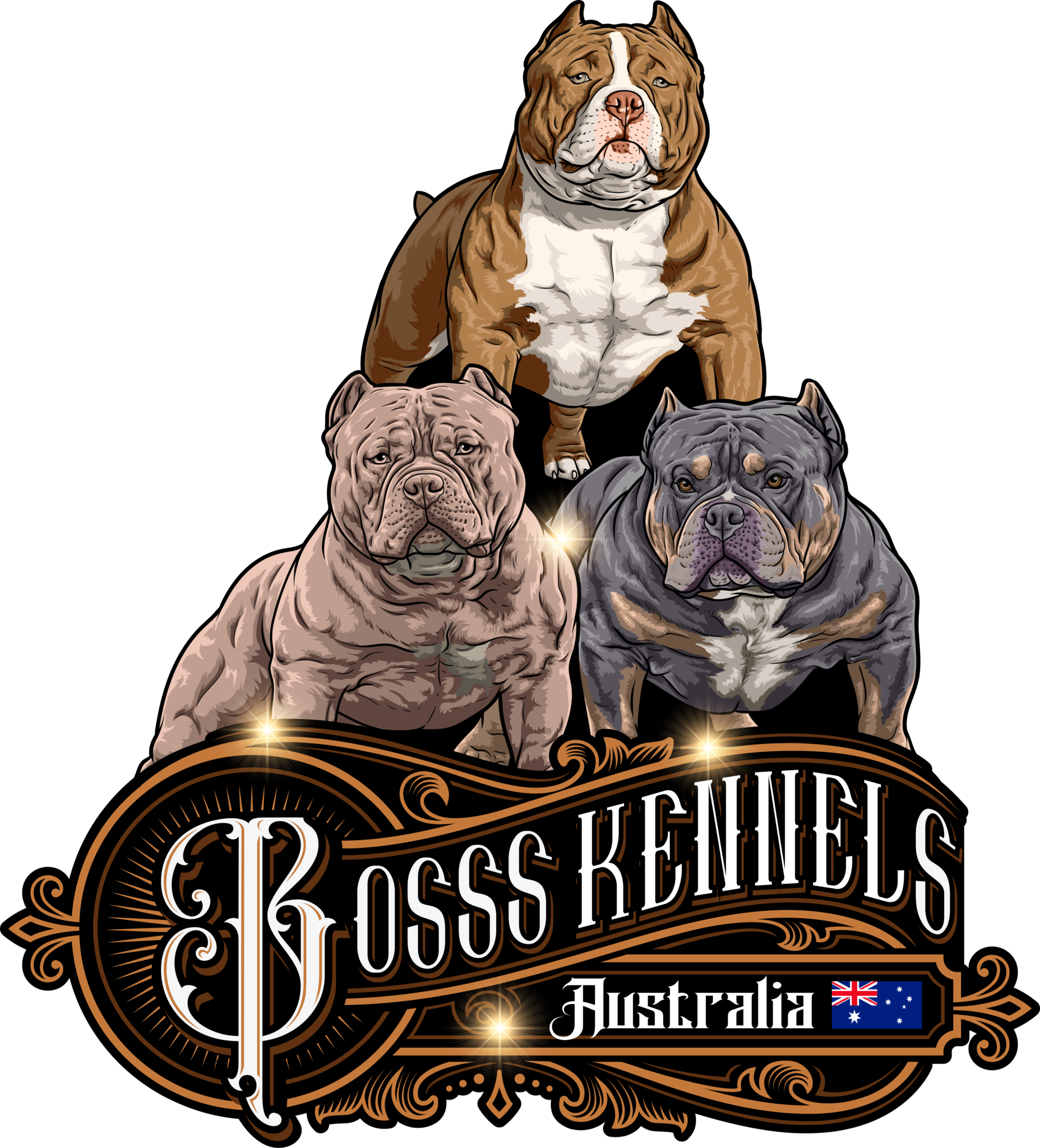 male-french-bulldog-puppies-bosss-kennels-australia